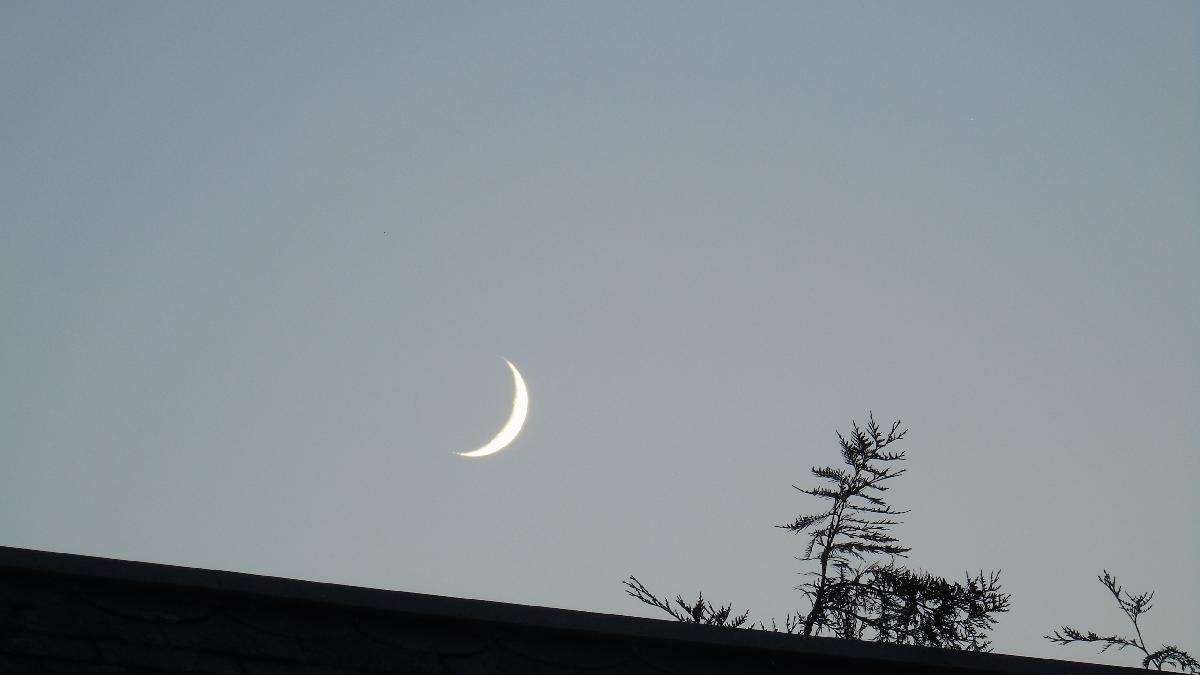 Croissant lunaire 