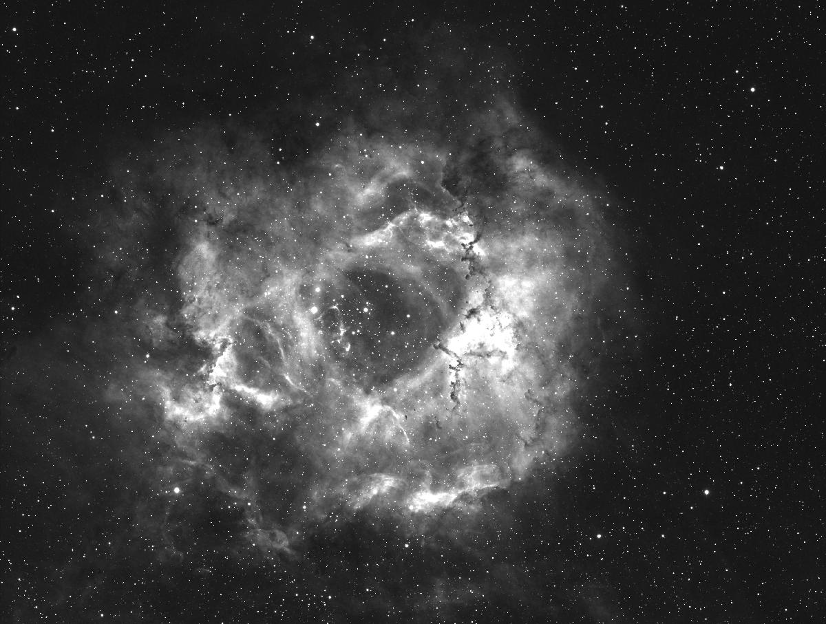La Rosette
