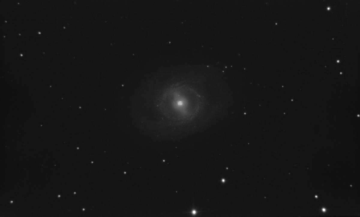 M95-NB M95-NB