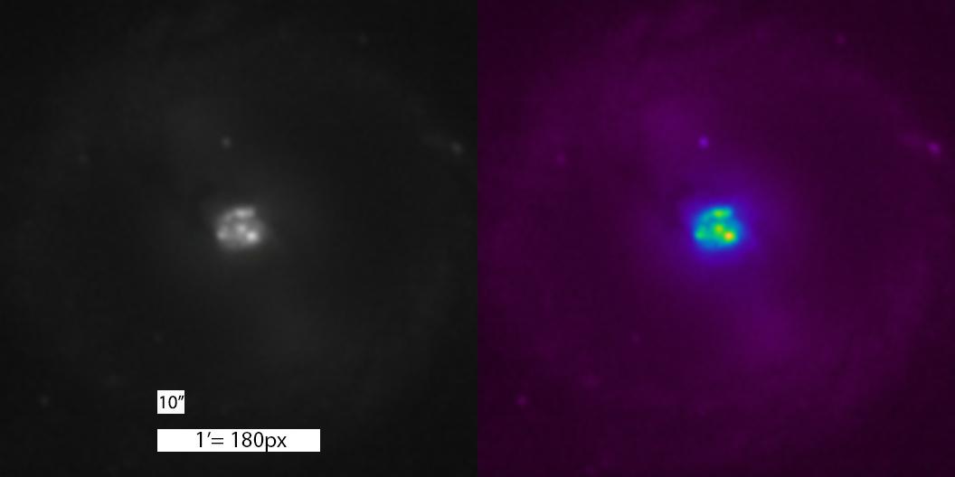 M95 Core analysis 2 M95 Core analysis 2