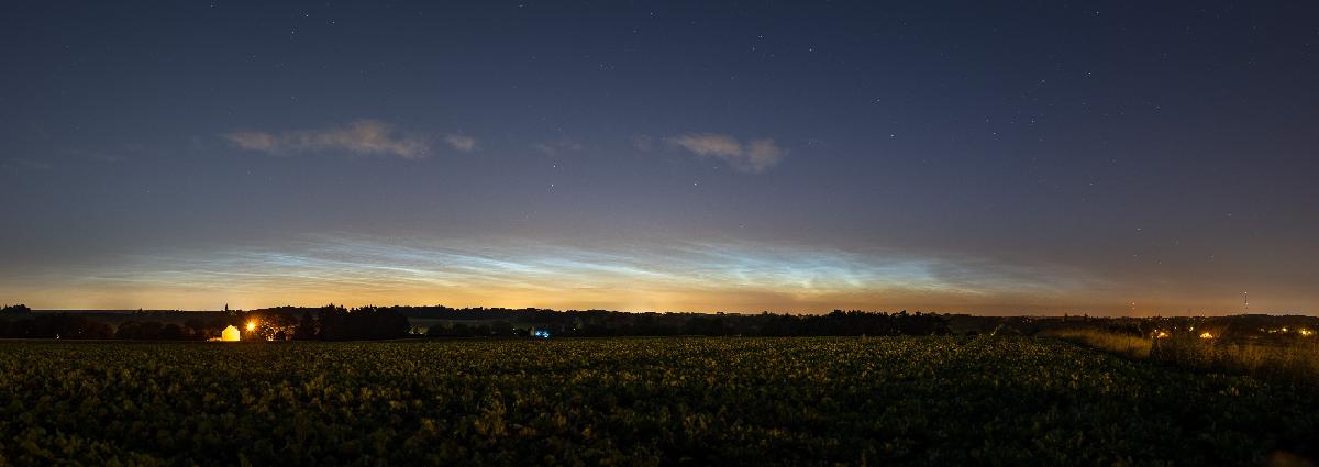 Noctiluques Noctiluques