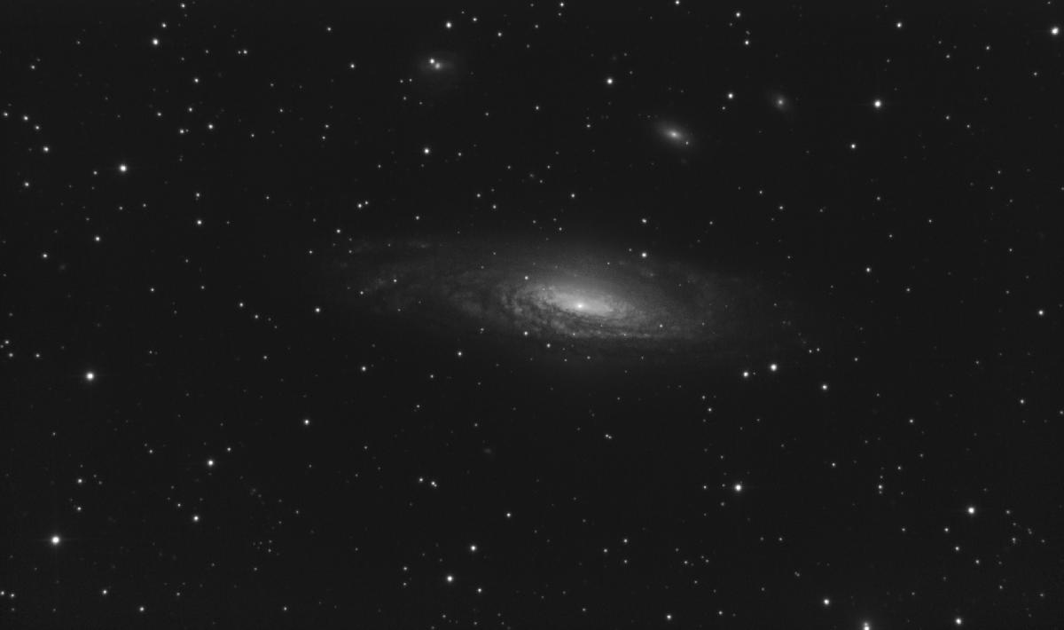 ngc7331 L ngc7331 L