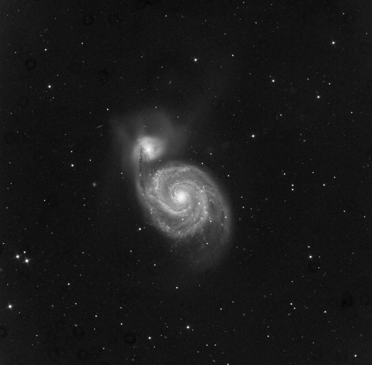 m51-SV m51-SV