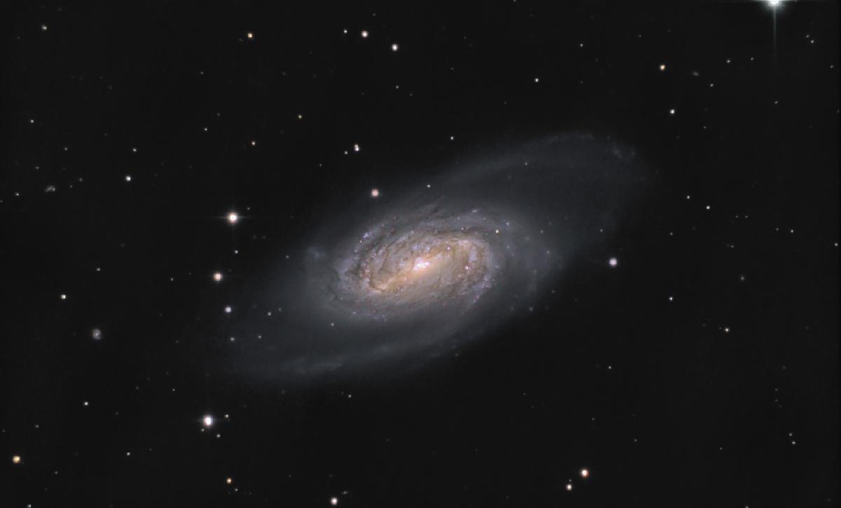 ngc2903 LRGB ngc2903 LRGB