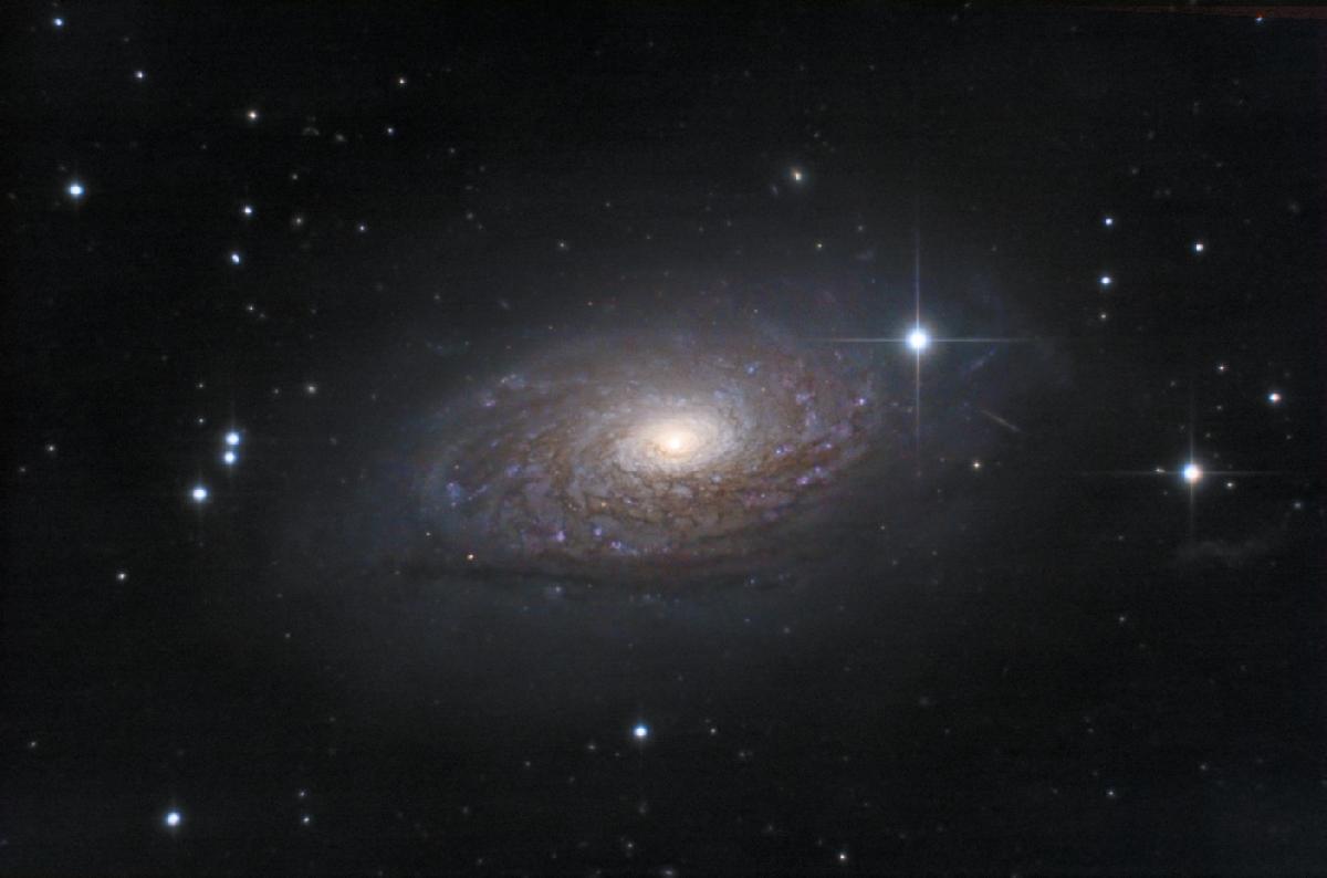 m63 LRGB m63 LRGB