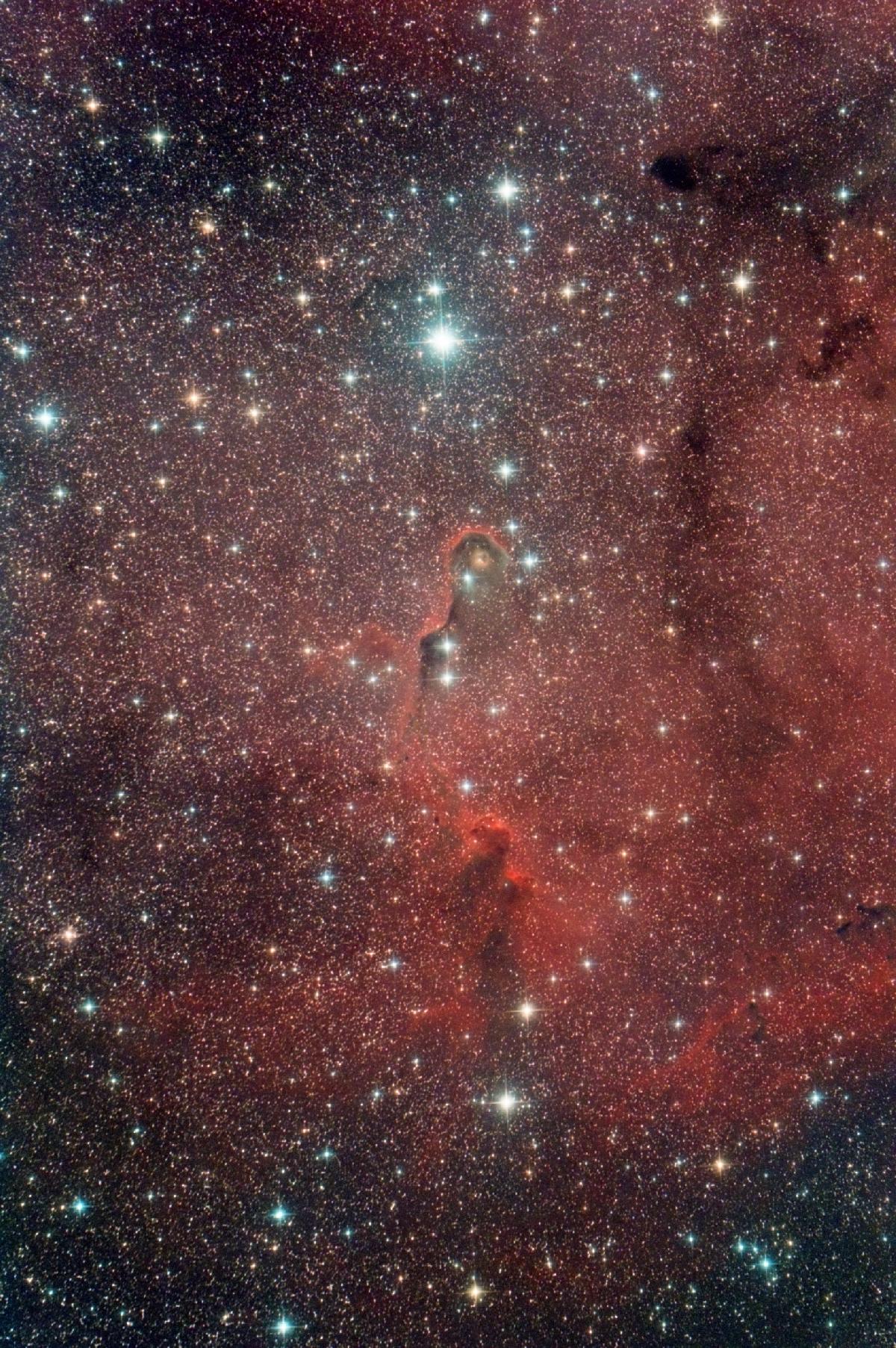 IC 1396 zwo071 200/800 IC 1396 zwo071 200/800