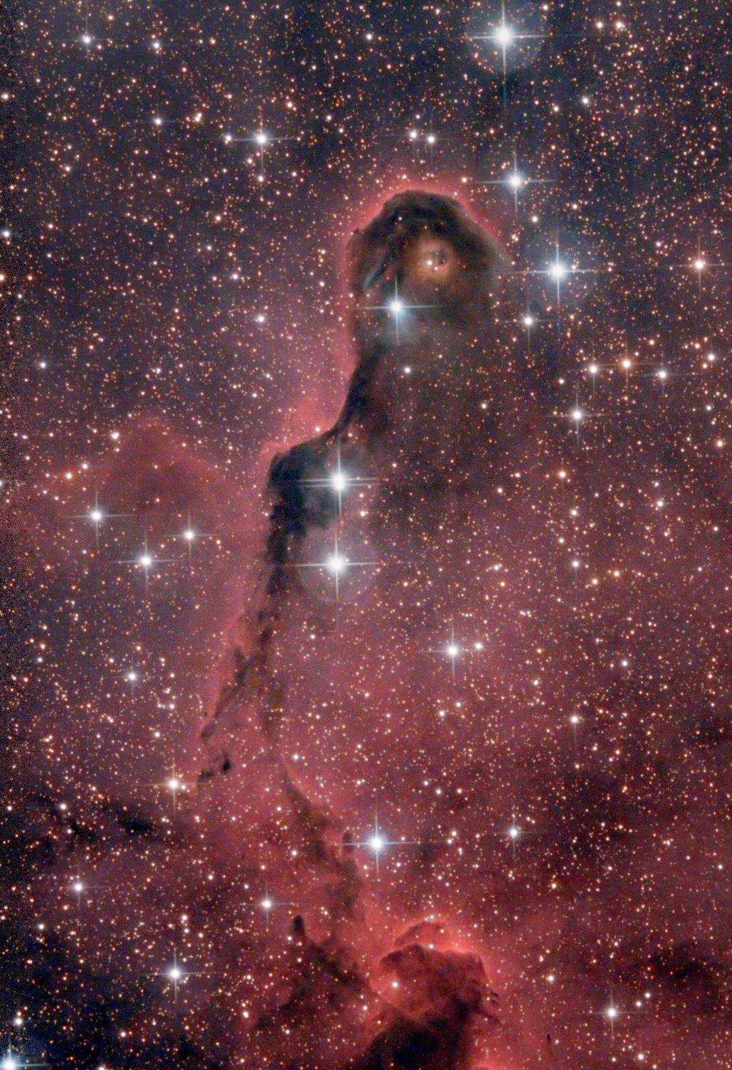 IC 1396 zwo178 200/800 IC 1396 zwo178 200/800