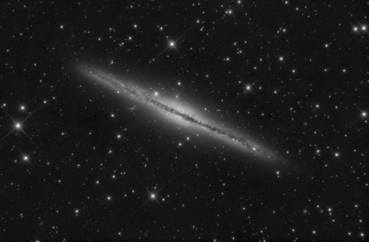 ngc891 L ngc891 L
