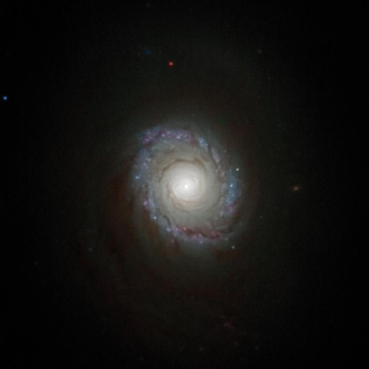 m94- core m94- core
