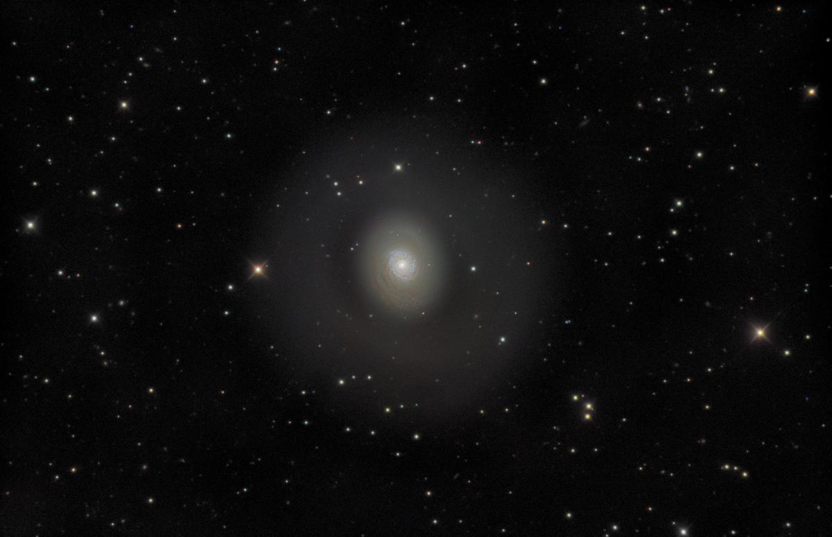 m94-large m94-large