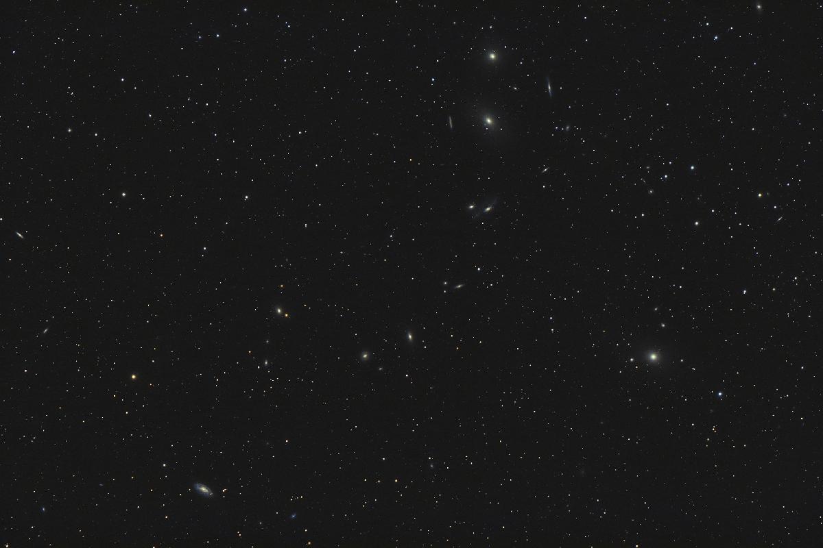 markarian markarian