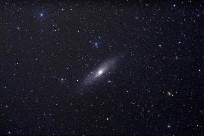 M31