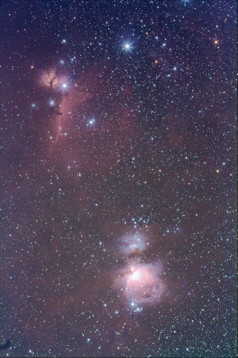 orion orion