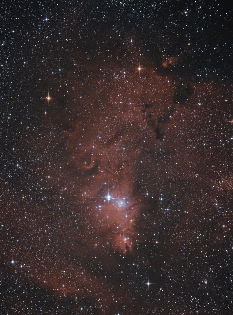 NGC 2264 NGC 2264