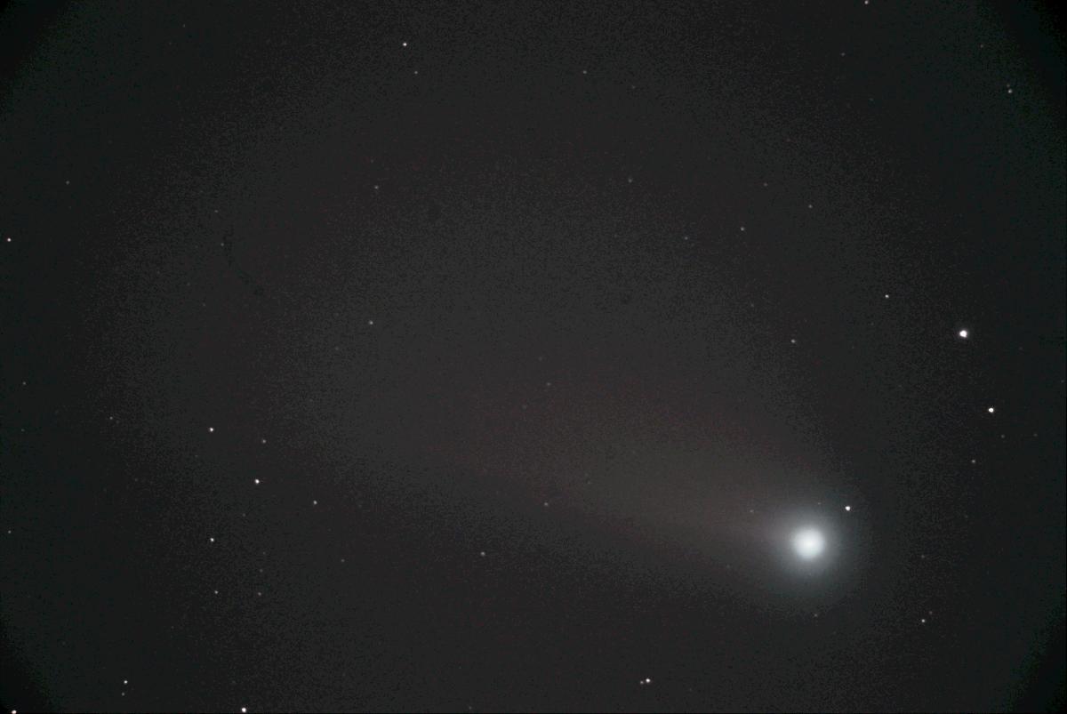 comète NEOWISE C2020 F3 comète NEOWISE C2020 F3
