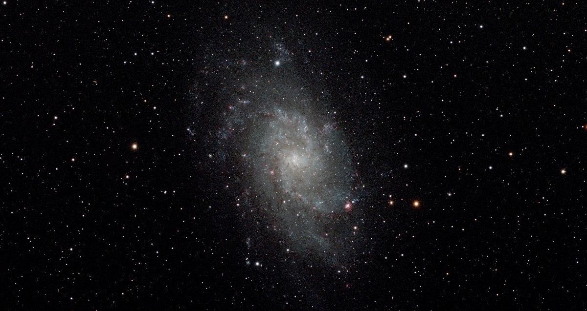 M33 M33