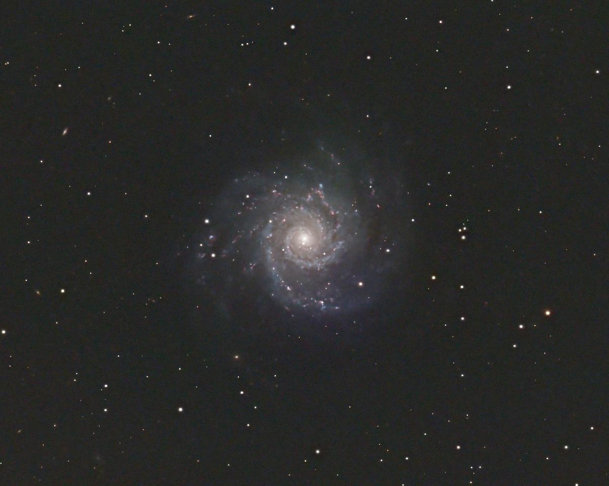 M74