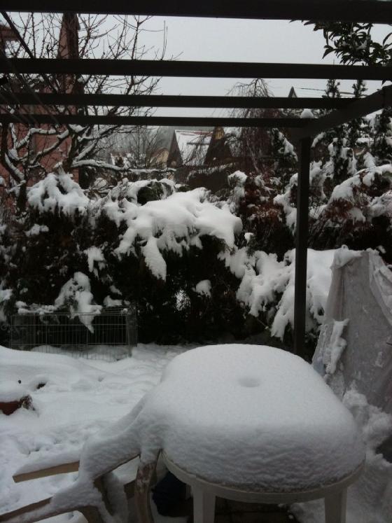 jardin