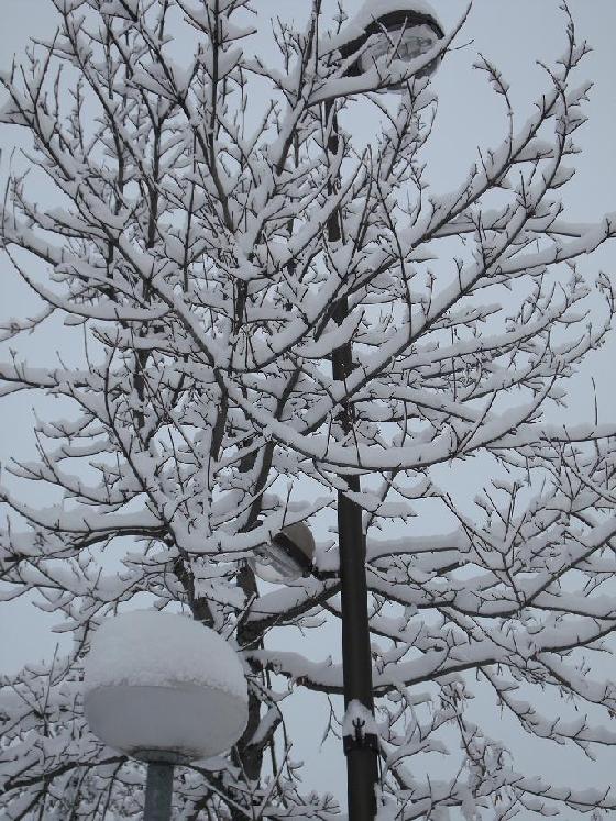 lampadaire