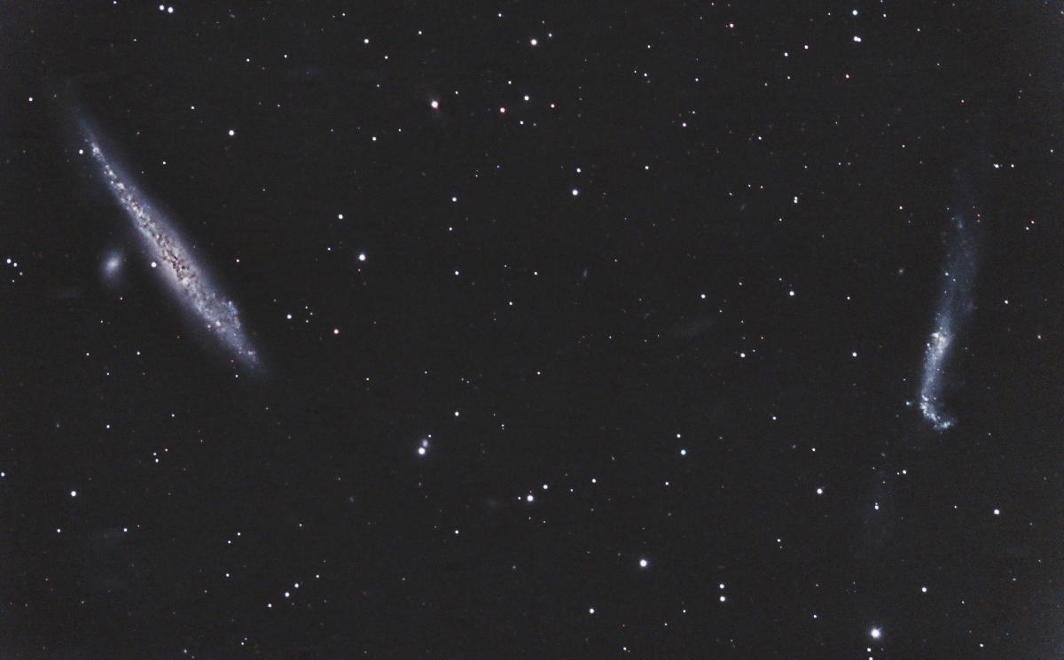 NGC4631 - Galaxie de la Baleine et NGC4656 - Galaxie du baton de hockey NGC4631 - Galaxie de la Baleine et NGC4656 - Galaxie du baton de hockey