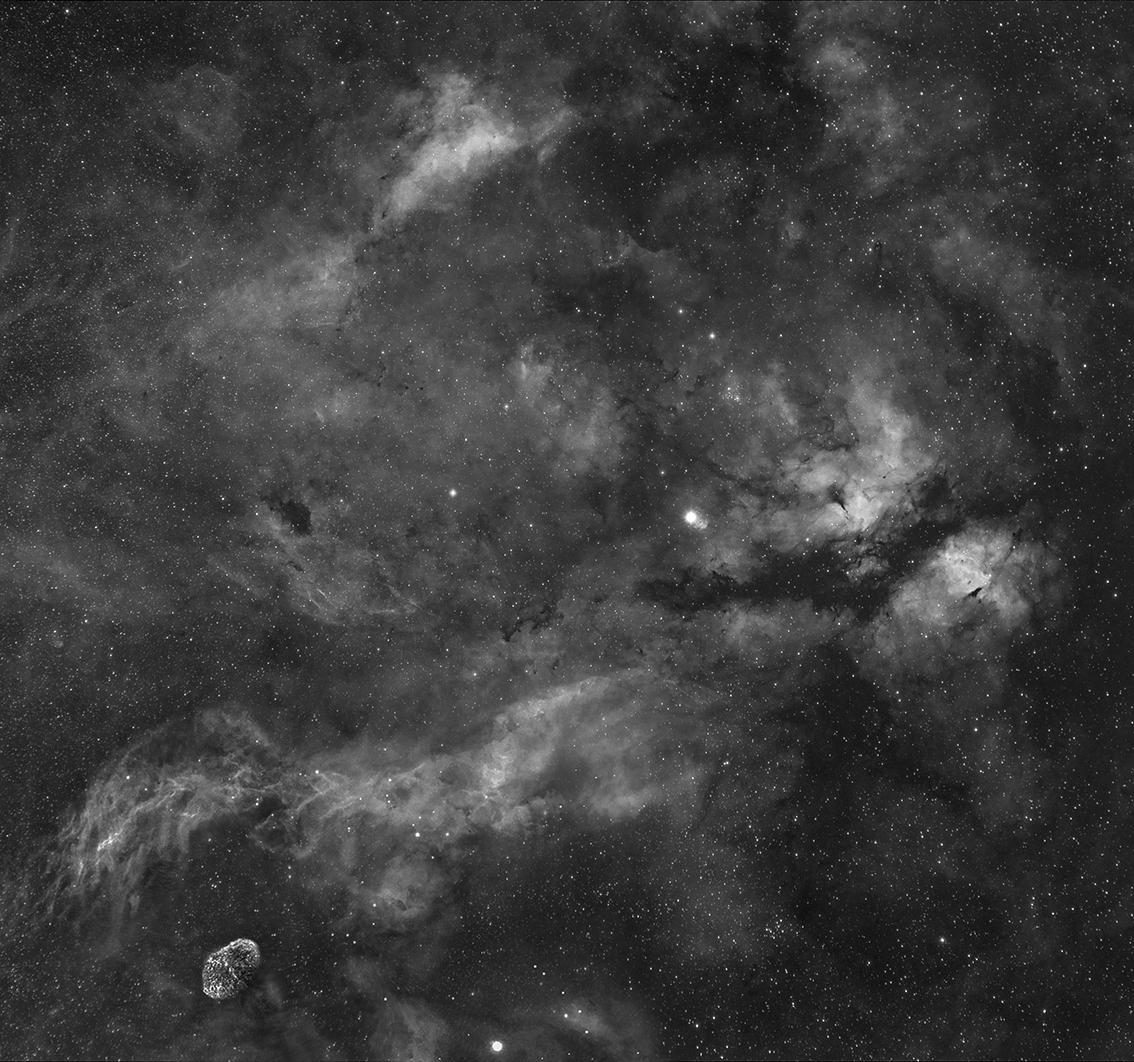 IC 1318 IC 1318
