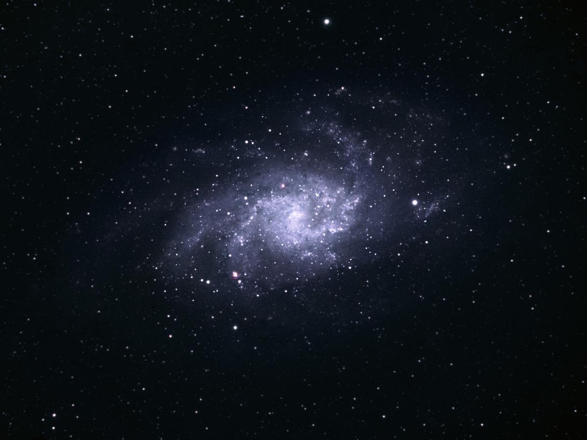 M33 M33