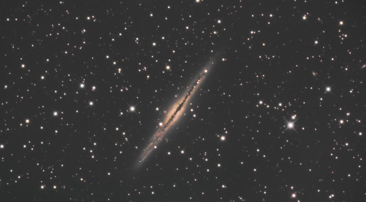 Ngc 891 Ngc 891