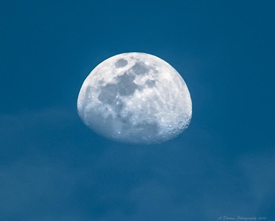Lune Lune