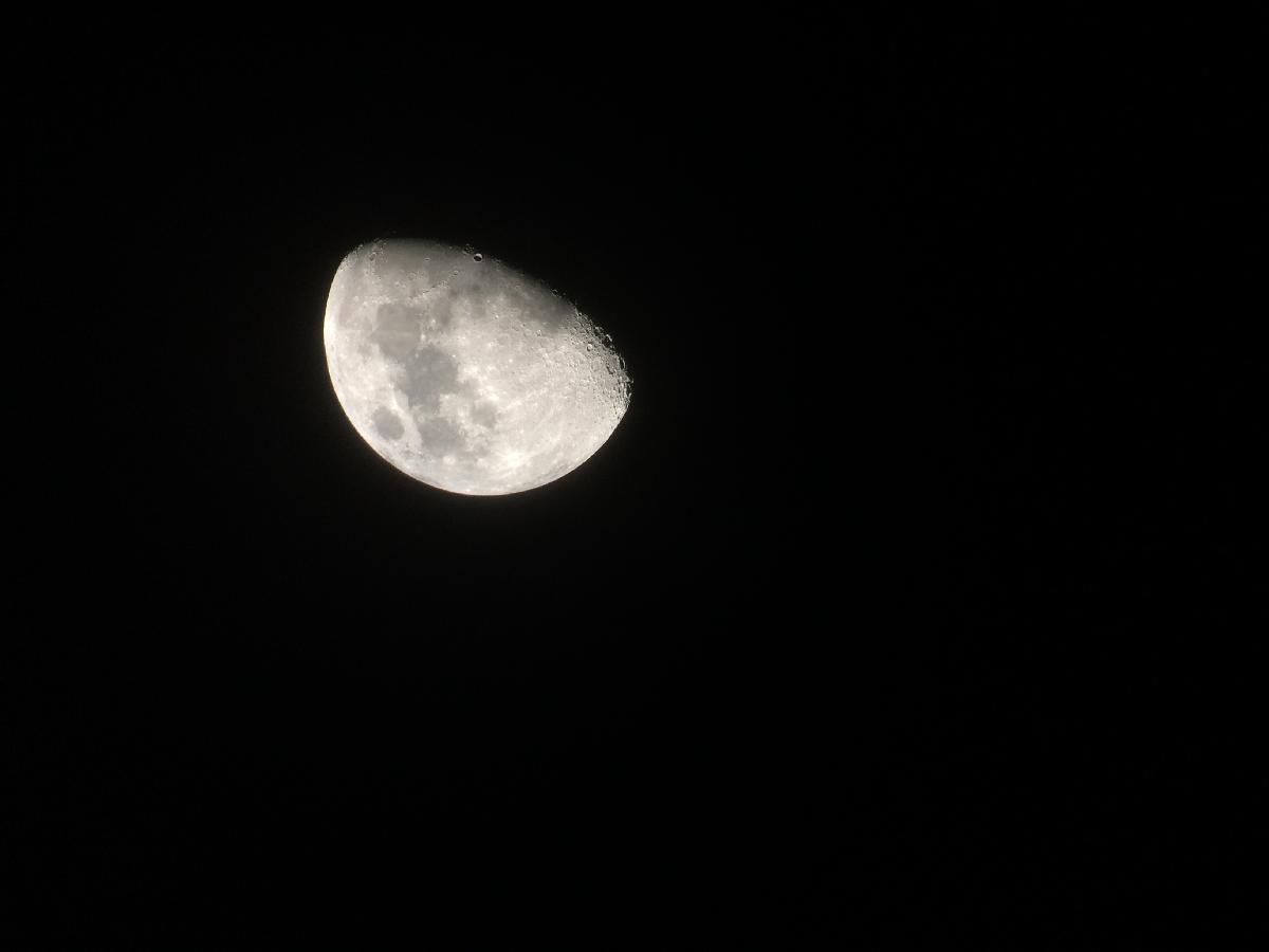 Lune Lune
