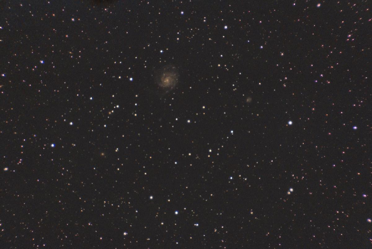 M101_nikon d50_lulu_acro M101_nikon d50_lulu_acro