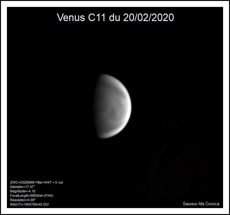 Venus 20/02/2020
