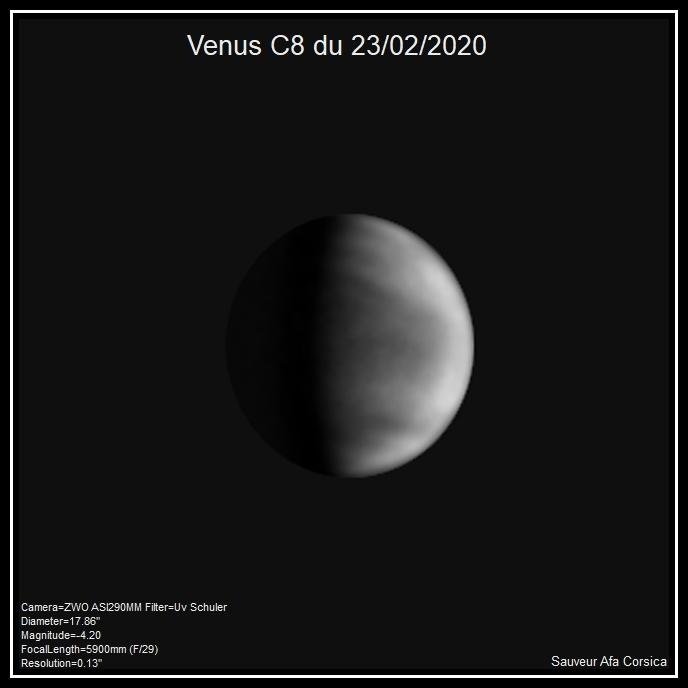Venus Presentation facon Globe C8 