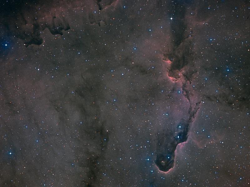 Newton 250/1000 carbone