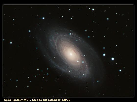 M81