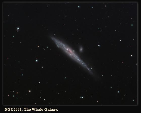 NGC4631