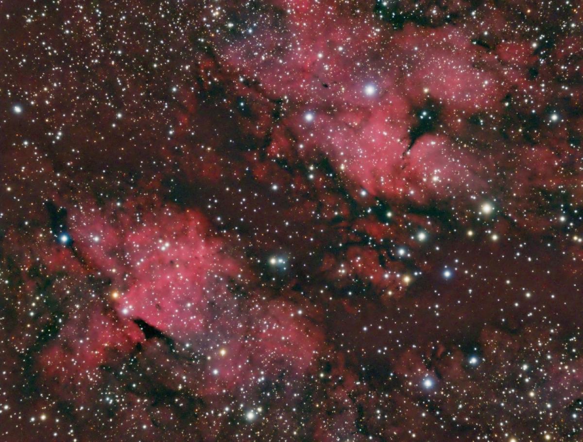 IC 1318