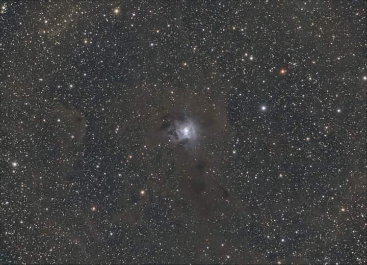 Ngc7023 iris