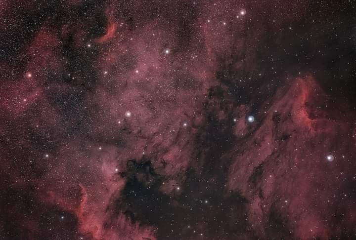 Ngc7000 et ic5070