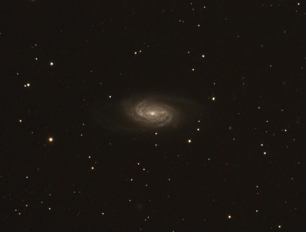 ngc2903 dans le lion ngc2903 dans le lion