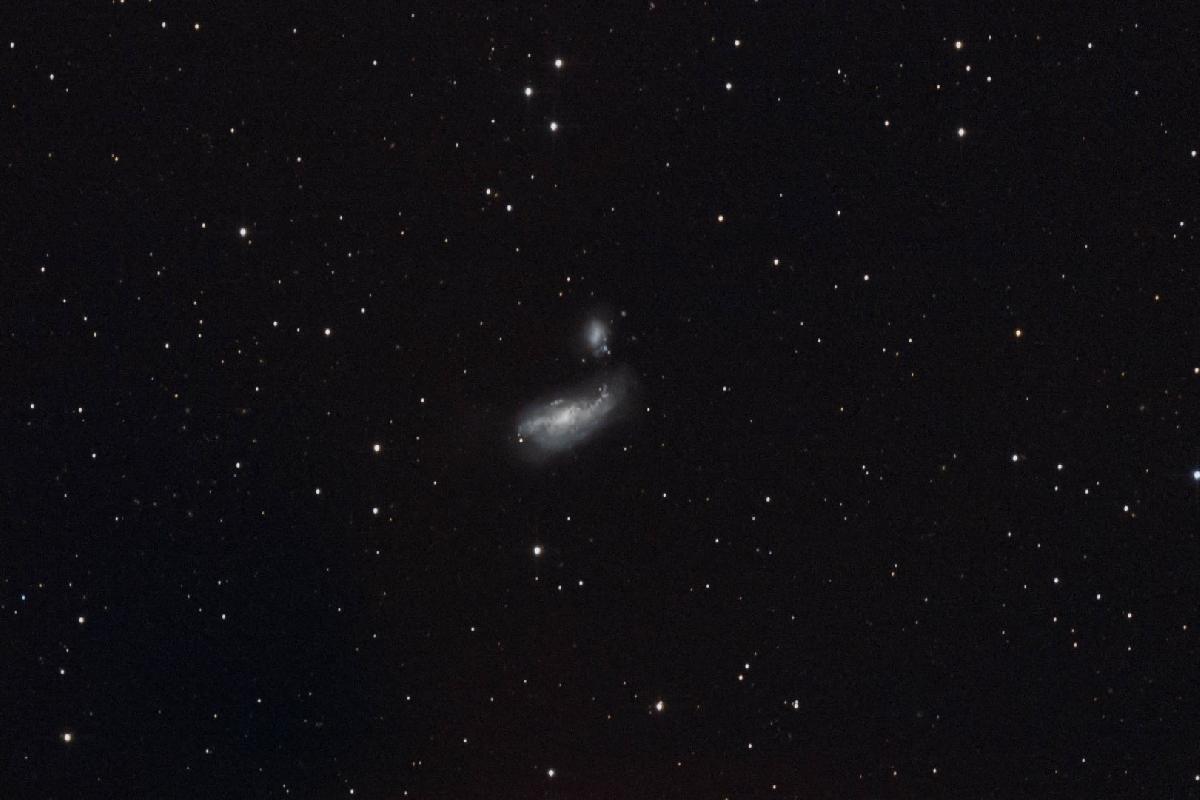 NGC 4485 ( Chiens de Chasse )