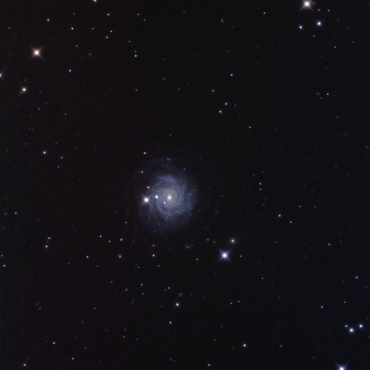NGC 3344 NGC 3344