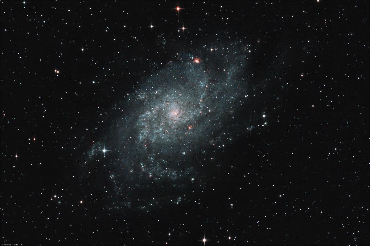 La Galaxie du Triangle (M33) La Galaxie du Triangle (M33)