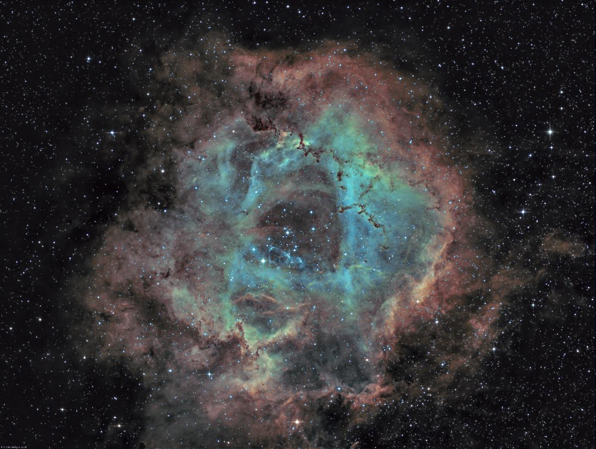 NGC 2237 - Nébuleuse de la Rosette (Ha-SHO) NGC 2237 - Nébuleuse de la Rosette (Ha-SHO)