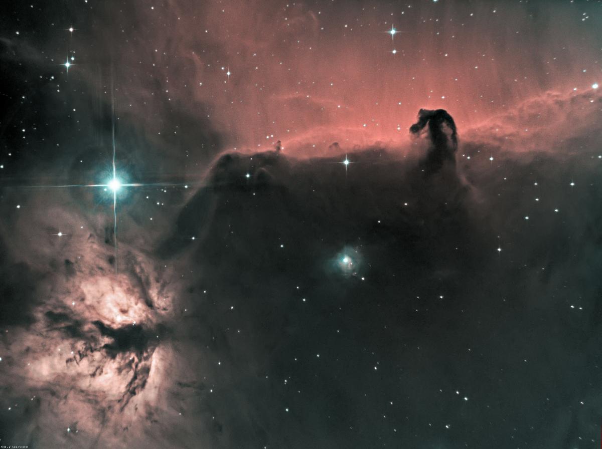 Nébuleuses de la Tête de Cheval (IC 434) et de la Flamme (NGC 2024) - Ha-HOO