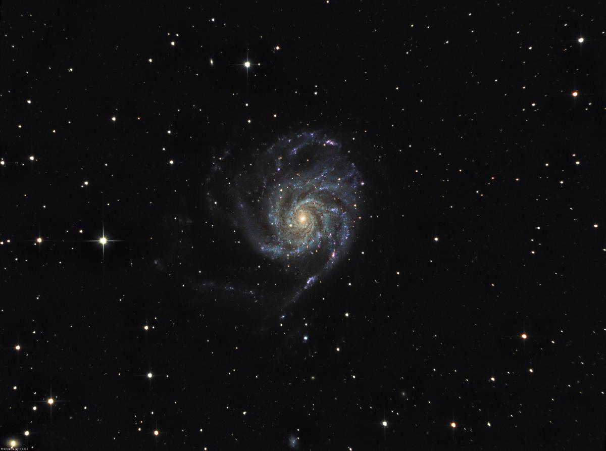La galaxie du Moulinet (M101) La galaxie du Moulinet (M101)