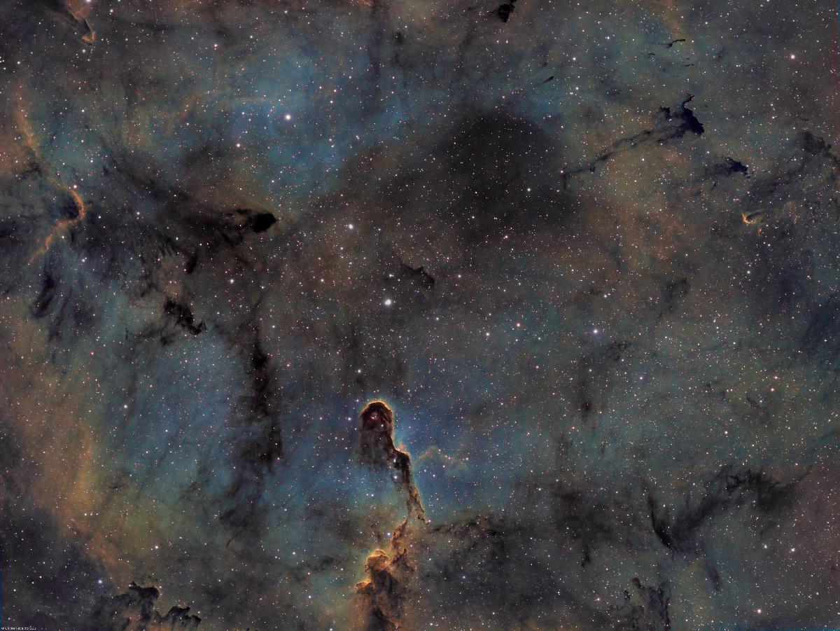 IC1396 - Nébuleuse de la trompe d'éléphant IC1396 - Nébuleuse de la trompe d'éléphant
