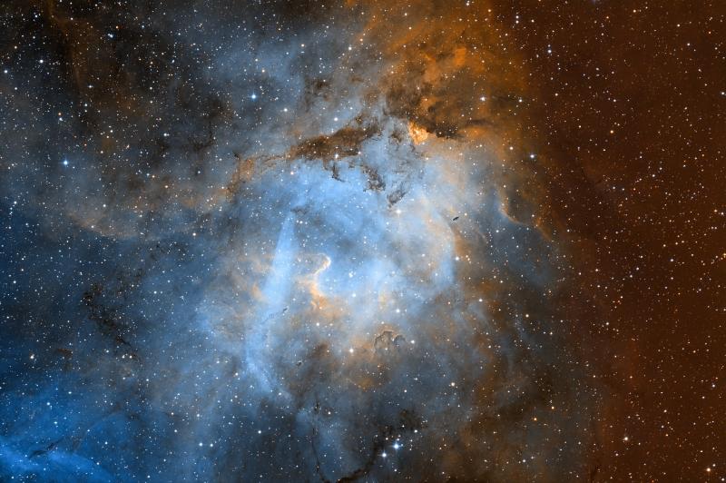 Newton carbon 254/1000