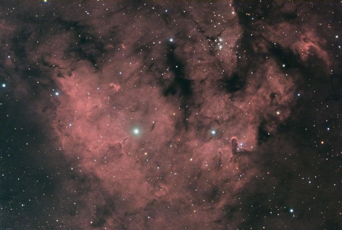 LBN581 LBN581