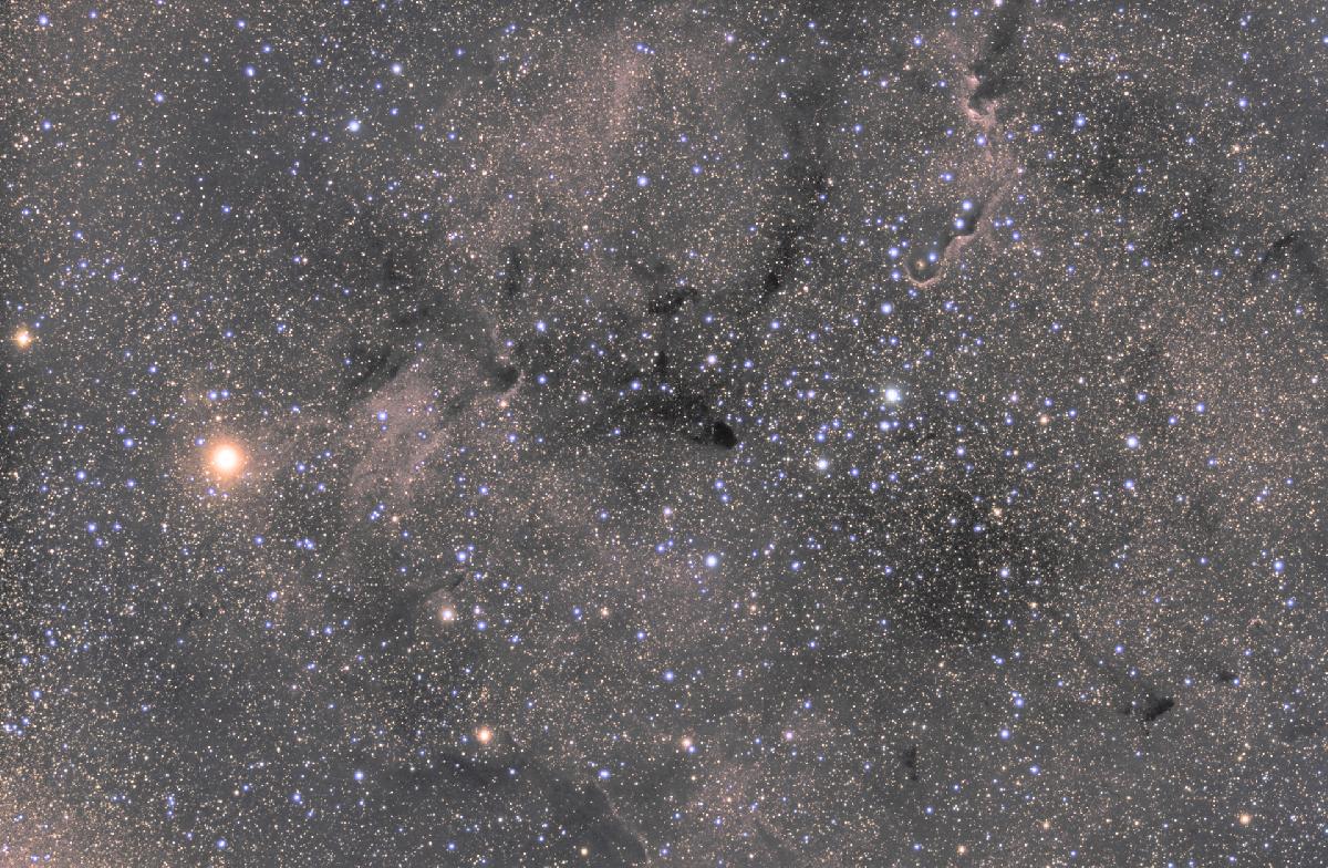 IC 1396 IC 1396