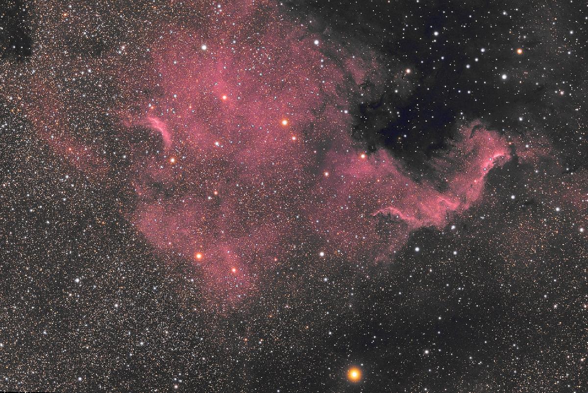 NGC 7000